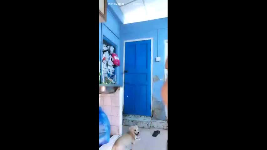 Myd rnd burma video collection 812025 -94