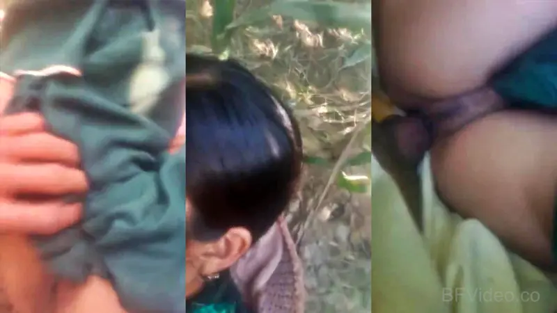 Latest Dehati XXX Outdoor Sex MMS