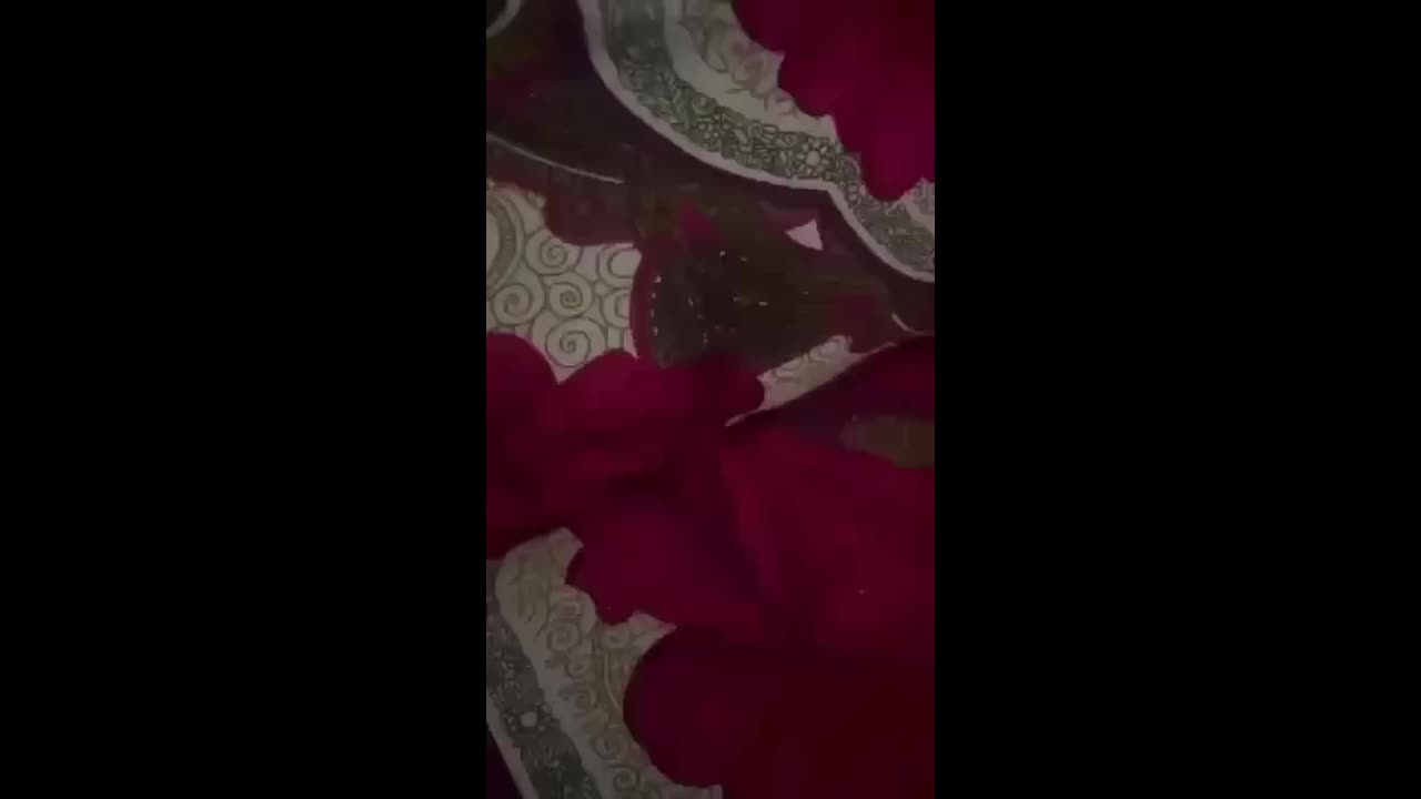 Myd pk video collection 15202520