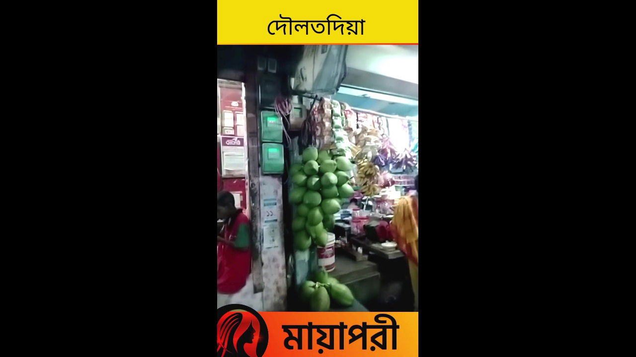 দৌলতদিয়া পল্লীর ভিতরের গলিতে কি হয় দেখুন Daulatdia Polli new video 2025