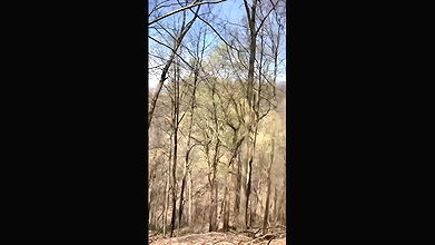 66XshayXshayX1 Nature Pee