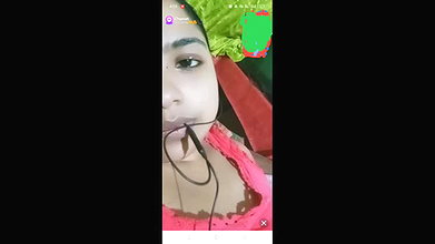 Myd random chamet collection 1042025-360